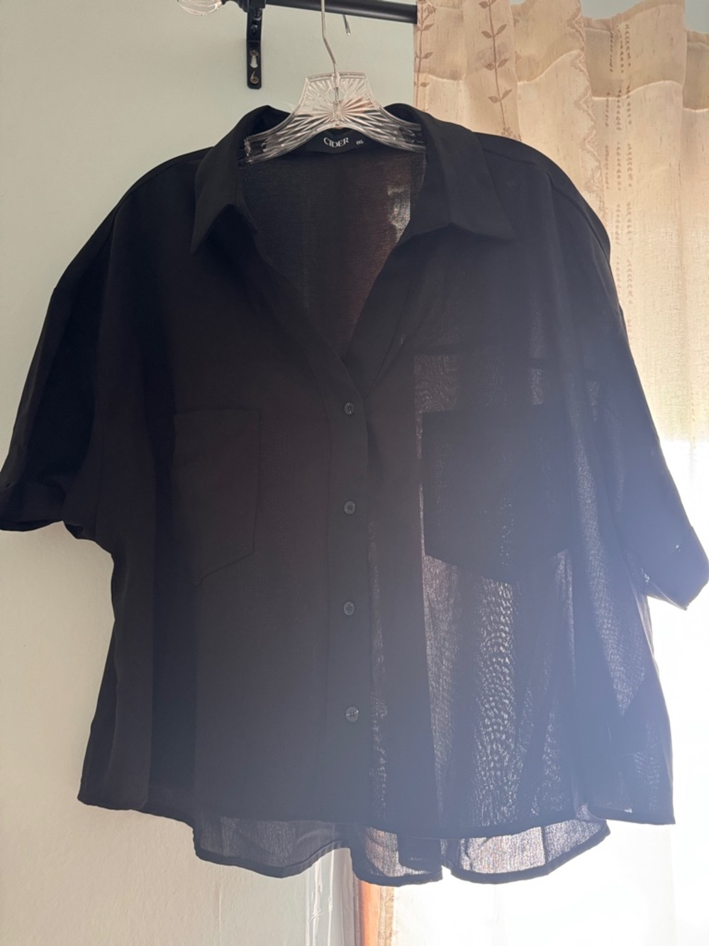 Cider Black Sheer Button-Front Blouse